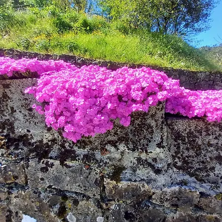 Il Sogno Di Gaggiuin * Soviore