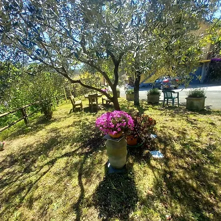 Il Sogno Di Gaggiuin * Soviore